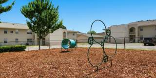 Bent Tree Gallery 33