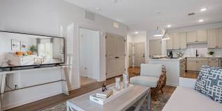 Primrose at Santa Rosa Beach Gallery 9