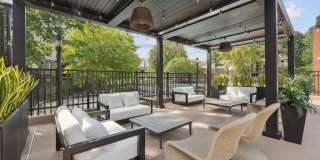 Vistas of Annadale Gallery 21