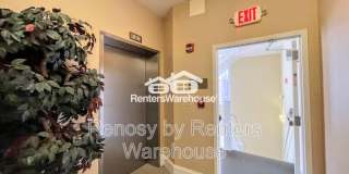 219 Granby Street Gallery 26