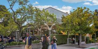 2605 Haste Street Gallery 12