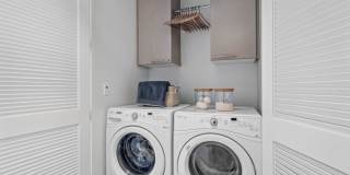 Premiere on Pine Gallery 37