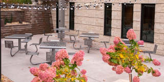 The Cambric Apartments - Senior & Affordable Housing Gallery 7