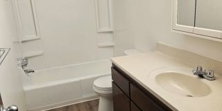 Todd House-Michelle Apartments Gallery 5
