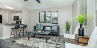 Serene at Woodlake Gallery 13