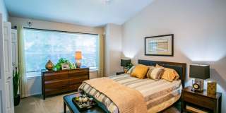 The Colonnade Luxury Townhome Apartments Gallery 8