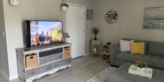 517 Palm Avenue Gallery 20