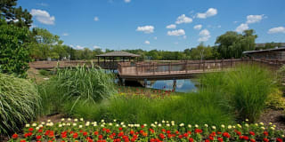 Barrington Lakes Apartments Gallery 1