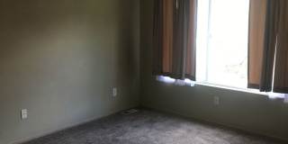Cute 3 Bedroom House Near Lakeway Gallery 18