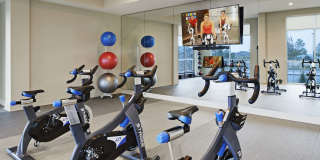 Camden Lincoln Station Gallery 29