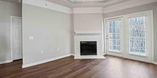 Lake Clearwater Gallery 57