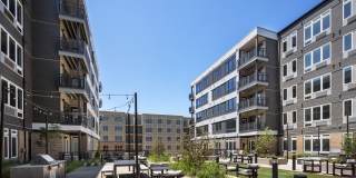 The Collins The Collins Gallery 13