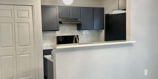 10542 Autumn Trace Road Gallery 18