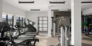 The Markson Gallery 40