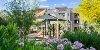 Acero North Valley Gallery 15