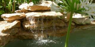 226 NE 1st Avenue unit: Key Lime Suite Gallery 38