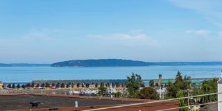 The Bayside Collection Gallery 21