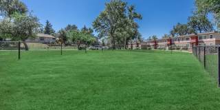 The Centre Apartments Gallery 20