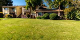 Meadowood Village Gallery 3