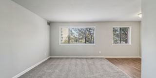 Swift at Riverdale Park Gallery 40