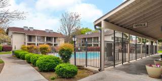 Cedar Springs Gallery 1