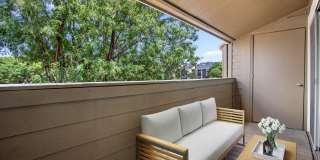 Avens Point Gallery 6