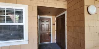 Beautiful Brisbane condo Gallery 30