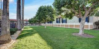 Tierra Palms Gallery 105
