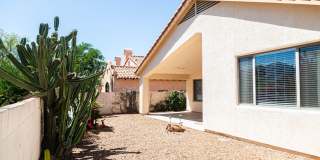 11146 North Desert Flower Drive Gallery 1