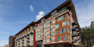 The Carter on the Park Gallery 1