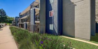 Kalo Four Seasons Gallery 13