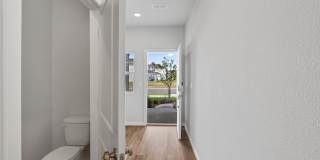111 Brazil Nut Circle Gallery 5