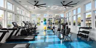 Lumen Luxury Apartments Gallery 2