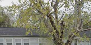 Oak Ridge 37830 - 2 bedroom 1 bath apartment - Contact Lisa Vineyard or Shannon Russell (865) 216-9334 Gallery 1