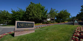 Lake Forest Gallery 22