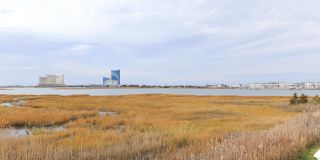 12 Gull Cv Gallery 49