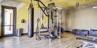 Sundance Creek Gallery 21