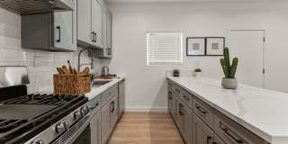 Showing Times: Every Tuesdays  Thursdays 5:00PM - 6:00PM  Every Saturdays 12:00PM - 1:00PM Gallery 1