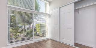 The Village at Town Center Gallery 159