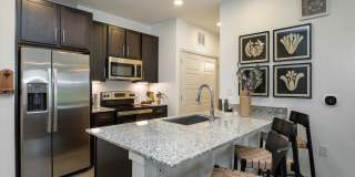 Eightyone10 Blue Goose Gallery 19