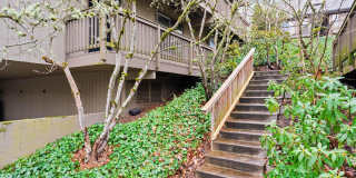$500 off! Spacious 1-bdrm/1-bath condo in quiet neighborhood. Balcony, 2 parking spaces, fireplace, hot tub, & pool Gallery 5