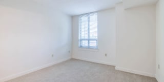 The Veridian Gallery 81