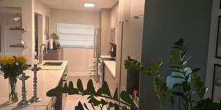 1811 Sabal Palm Dr Gallery 3
