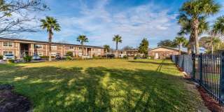 Sea Oats Sea Oats Gallery 30