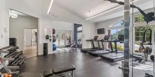 Christina Mill Gallery 17