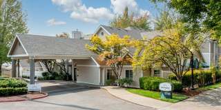 Sullivans Ridge Gallery 16