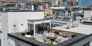 The Olive The Olive Gallery 4