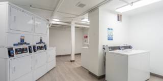 Thea Gallery 17