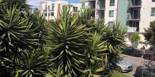 FOR RENT — COMPLETELY REMODELED Apartment Gallery 33