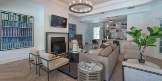 Alister Quincy Gallery 15